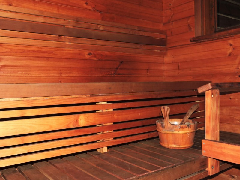 19 Morris Street, Wooloowin QLD 4030