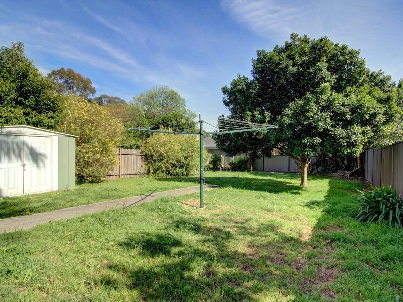 35 Ada Street, Bexley NSW 2207