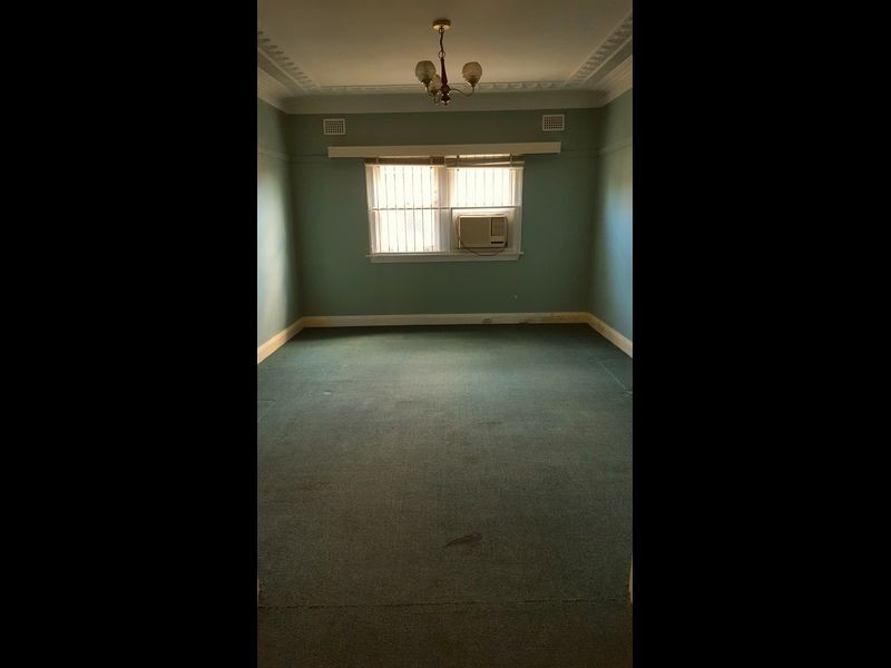 43 Ada Street, Bexley NSW 2207