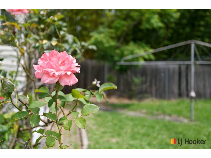 130 Carlton Parade, Carlton NSW 2218