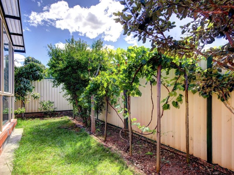 3/21 Waratah Street, Bexley NSW 2207