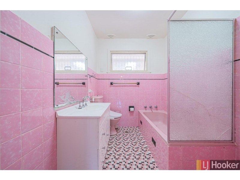 3 Bradley Crescent, Wiley Park NSW 2195