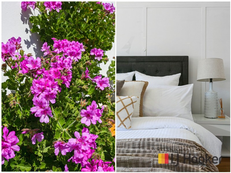 33 Milsop Street, Bexley NSW 2207