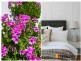 33 Milsop Street, Bexley NSW 2207