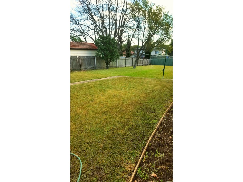 43 Ada Street, Bexley NSW 2207