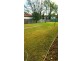 43 Ada Street, Bexley NSW 2207