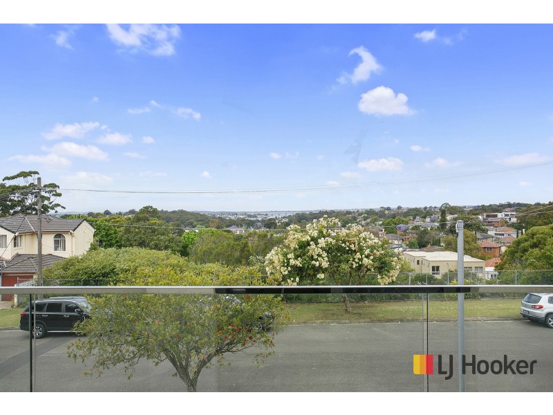 3 Prairievale Road, South Hurstville NSW 2221