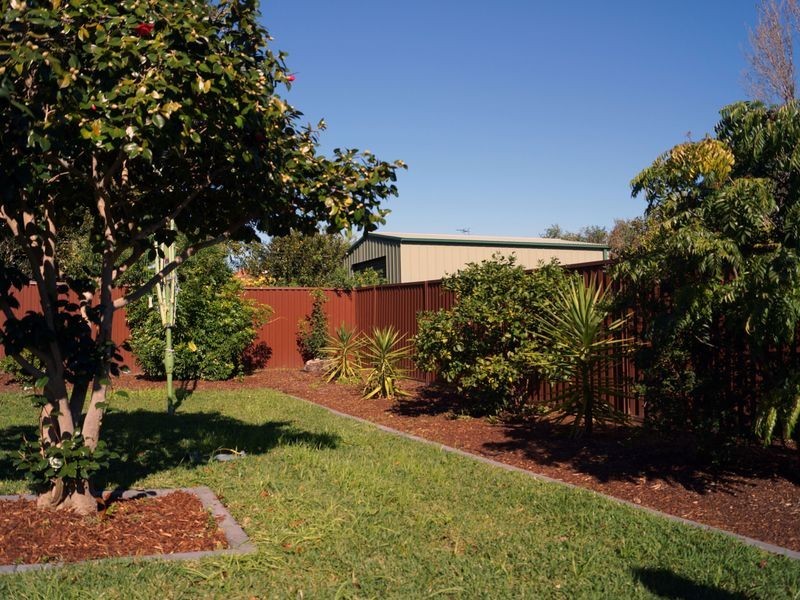 17 Preddys Road, Bexley NSW 2207