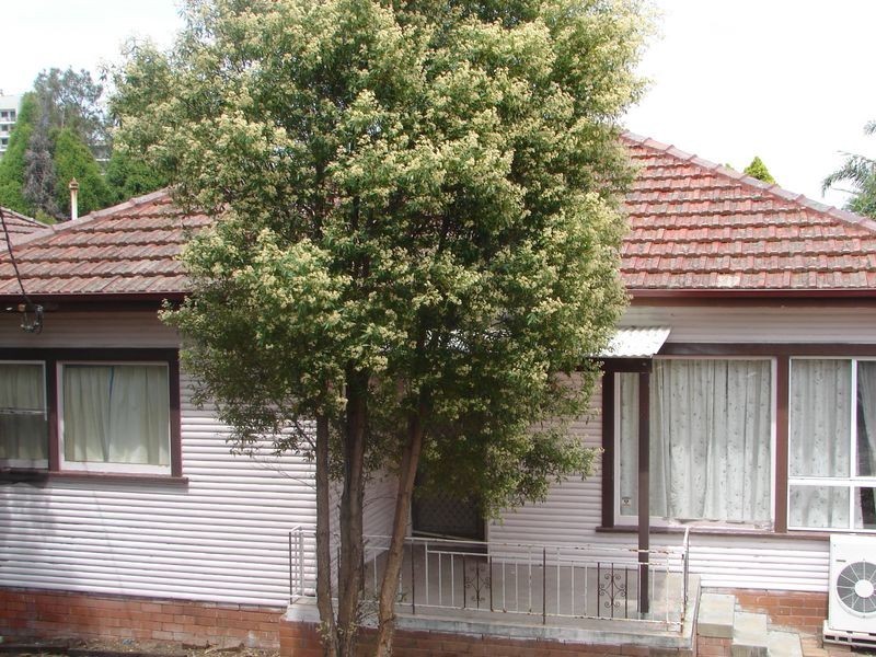 Millett Street, Hurstville NSW 2220