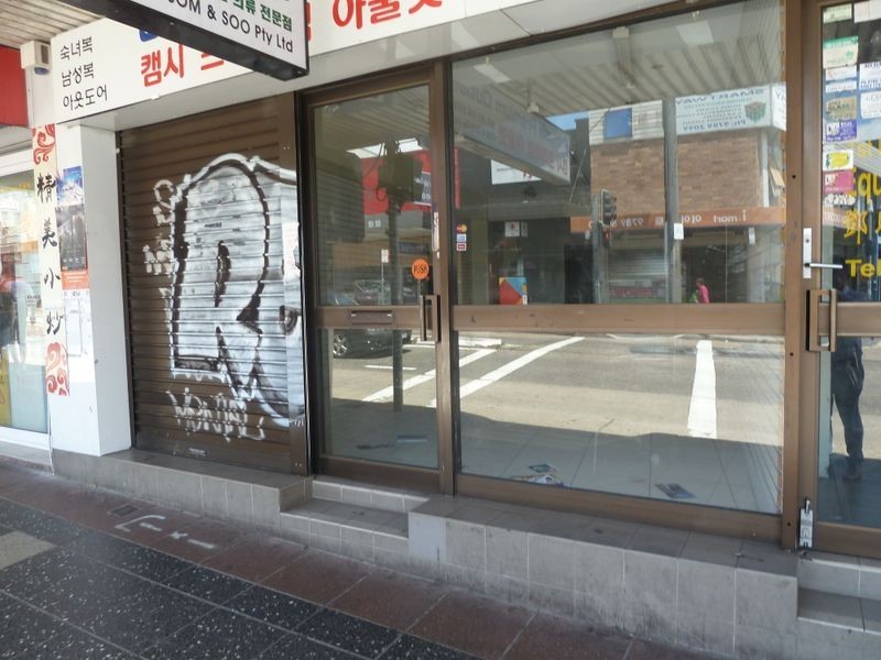 162 Beamish Street, Campsie NSW 2194