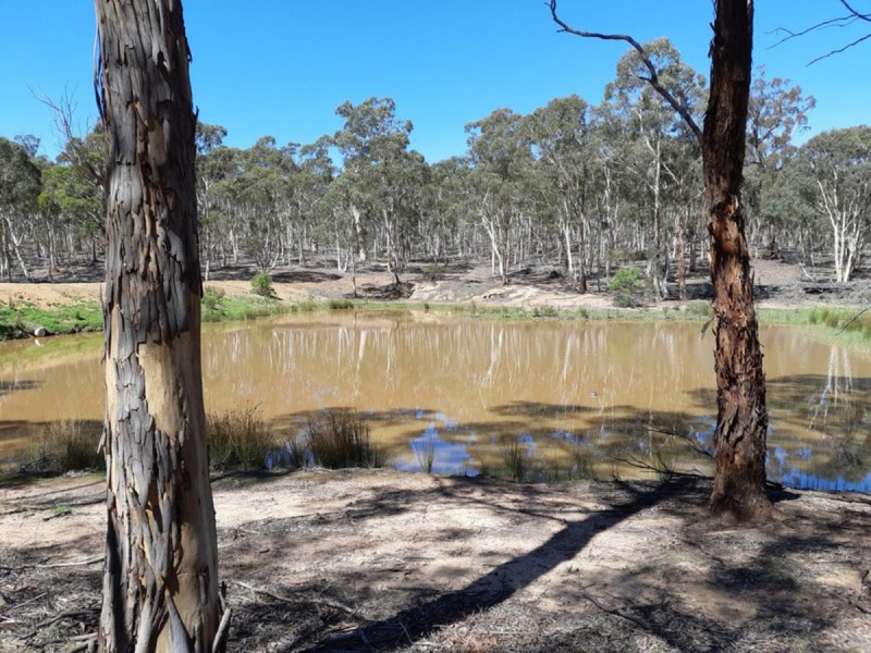 Lot 11 1766 Oallen Ford Road, Oallen NSW 2622