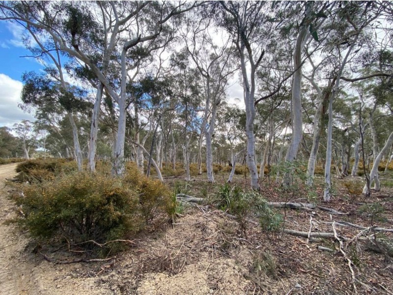 101 Spa Road, Windellama NSW 2580