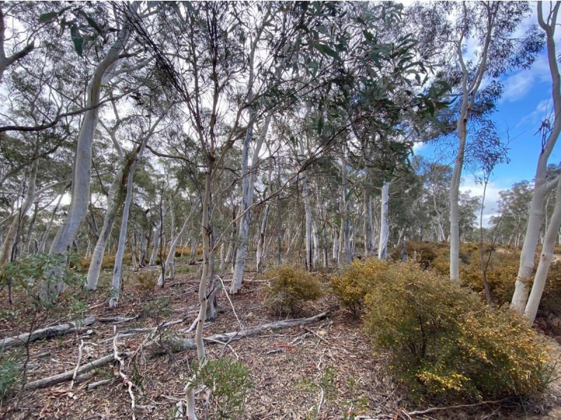 101 Spa Road, Windellama NSW 2580