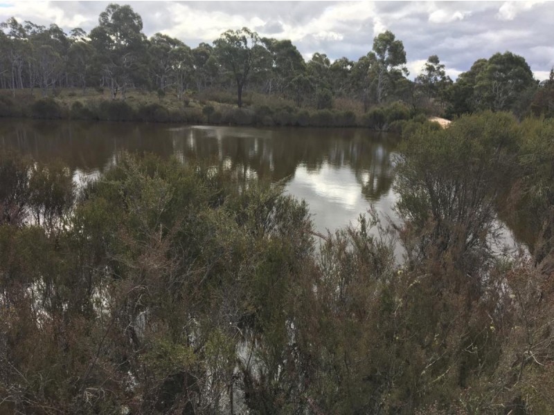 101 Spa Road, Windellama NSW 2580