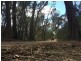 1682 Oallen Ford Road, Oallen NSW 2622