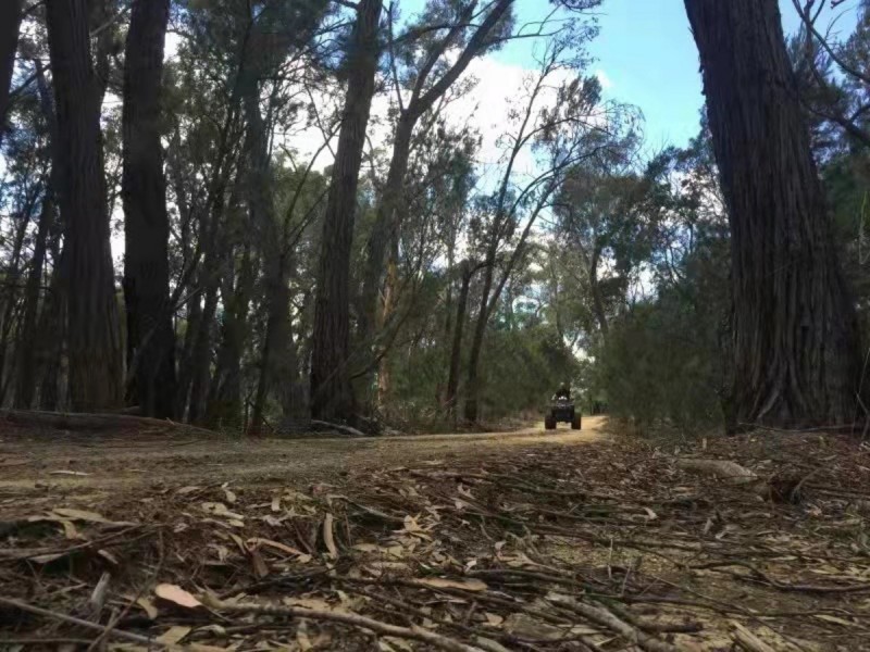1682 Oallen Ford Road, Oallen NSW 2622