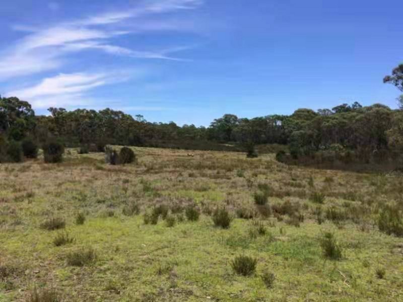 1682 Oallen Ford Road, Oallen NSW 2622