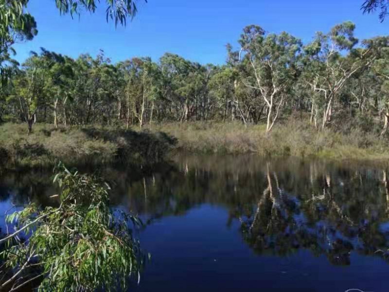 1682 Oallen Ford Road, Oallen NSW 2622