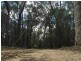 1682 Oallen Ford Road, Oallen NSW 2622