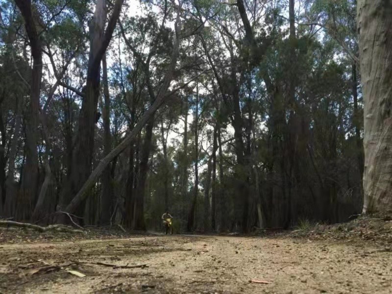 1682 Oallen Ford Road, Oallen NSW 2622
