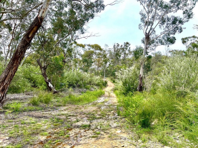 1682 Oallen Ford Road, Oallen NSW 2622