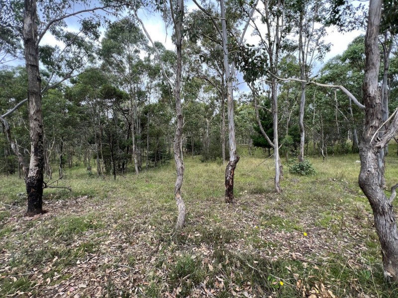 4100 Oallen Ford Road, Windellama NSW 2580