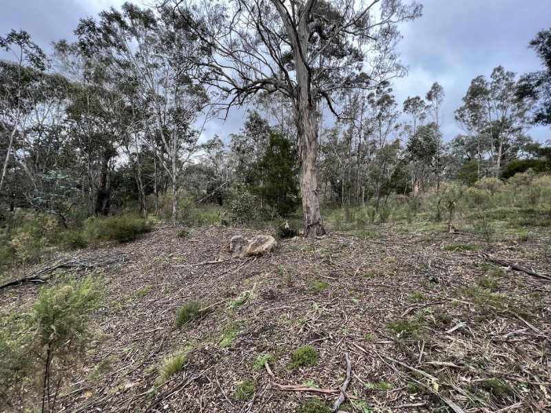 266 Strawberry Creek Road, Windellama NSW 2580