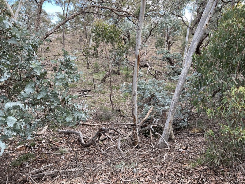 266 Strawberry Creek Road, Windellama NSW 2580