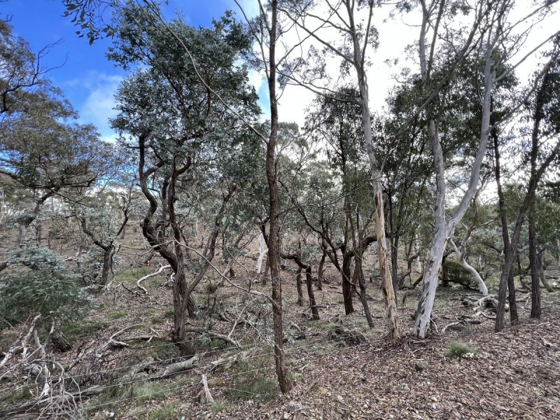 266 Strawberry Creek Road, Windellama NSW 2580