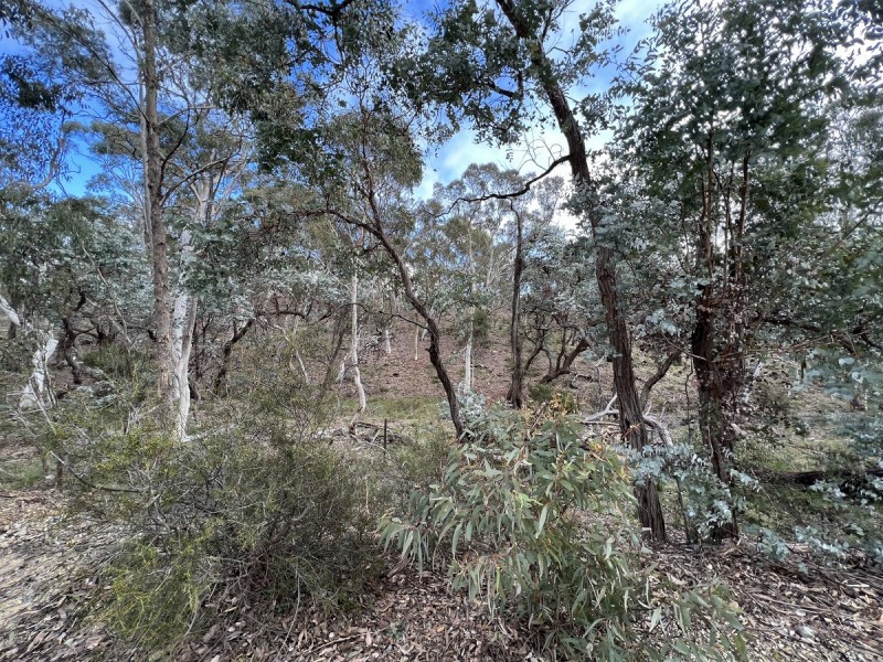 266 Strawberry Creek Road, Windellama NSW 2580