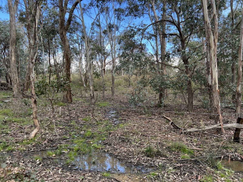 266 Strawberry Creek Road, Windellama NSW 2580