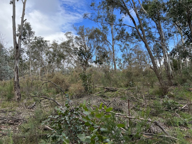 266 Strawberry Creek Road, Windellama NSW 2580