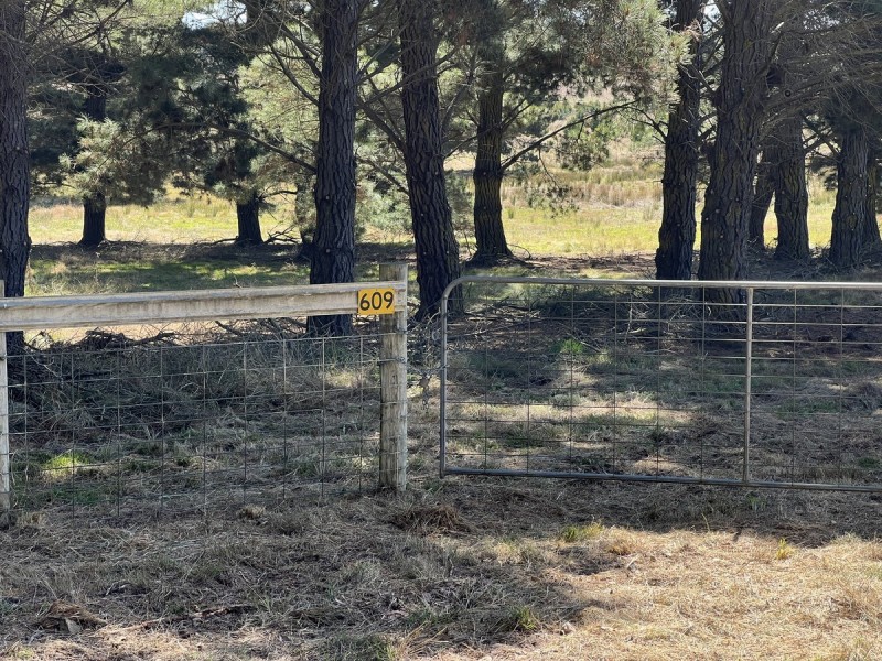 609 Jacqua Road, Bungonia NSW 2580