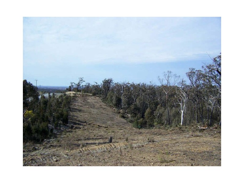 502 Willow Glen Road, Tarago NSW 2580