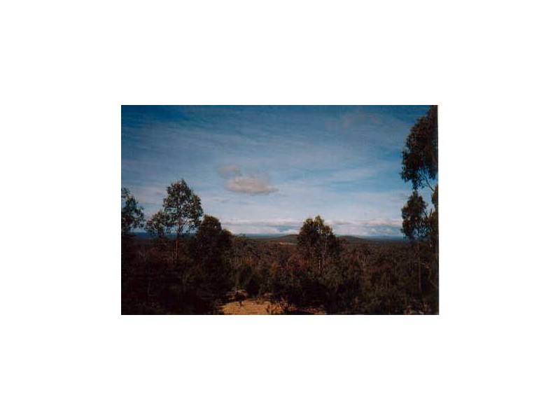 502 Willow Glen Road, Tarago NSW 2580