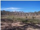 Lot 41 Creek Close, Windellama NSW 2580