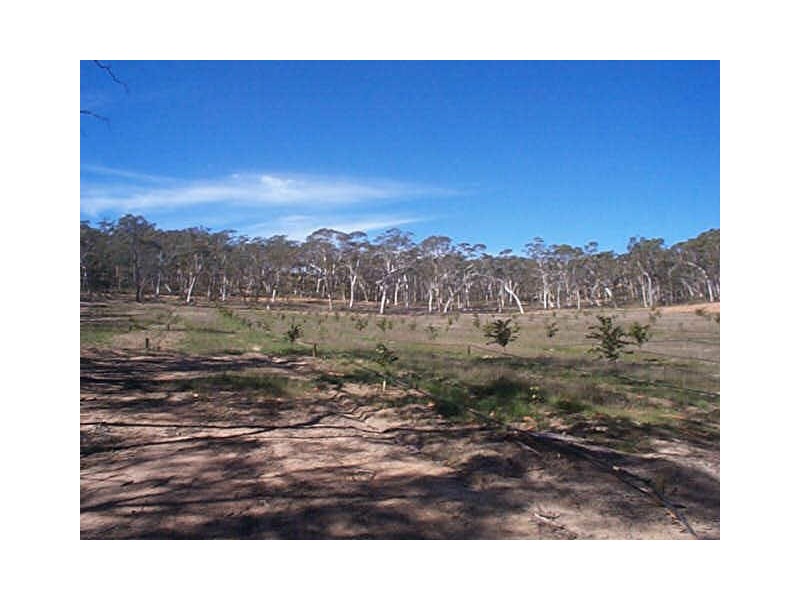 Lot 41 Creek Close, Windellama NSW 2580