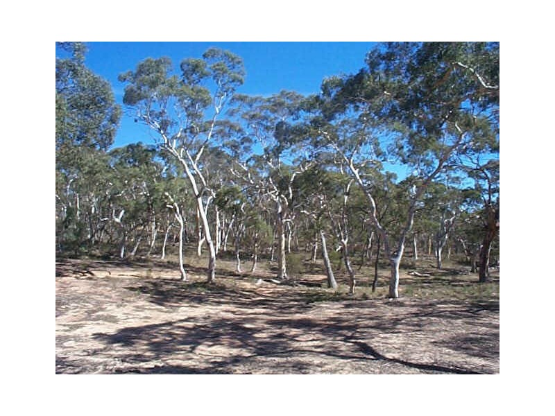 Lot 41 Creek Close, Windellama NSW 2580