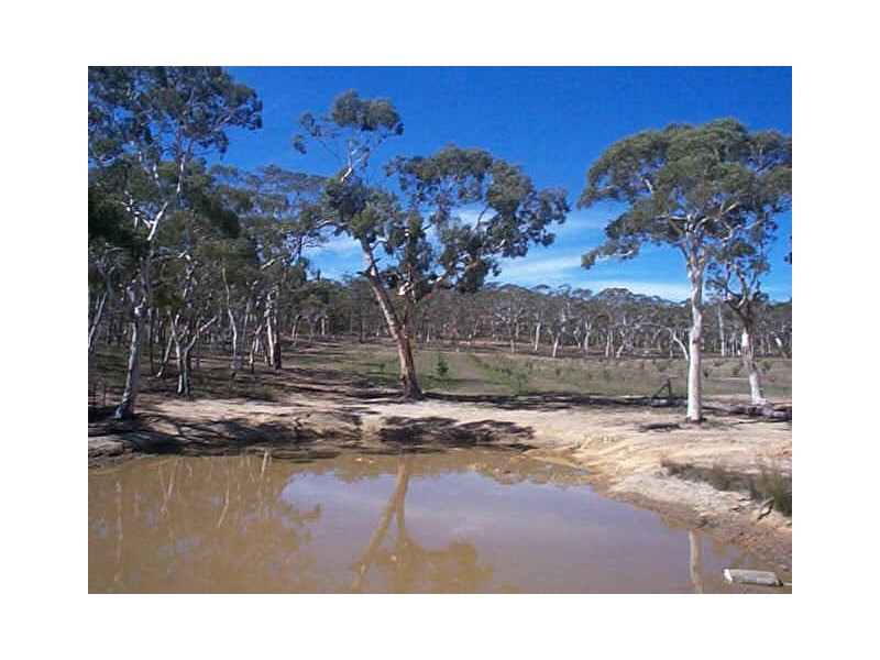 Lot 41 Creek Close, Windellama NSW 2580