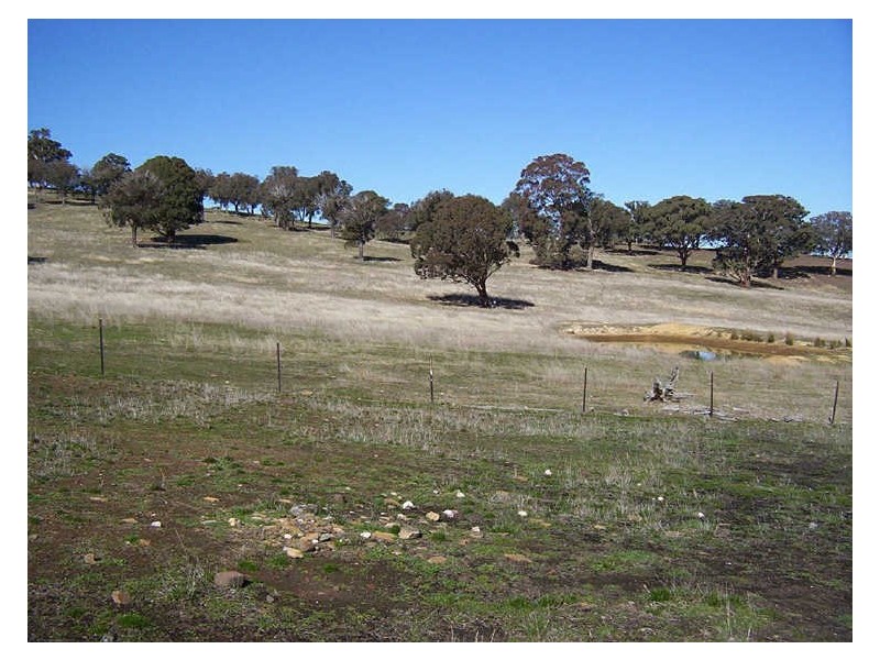 Hillview/ Laggan Road, Binda NSW 2583