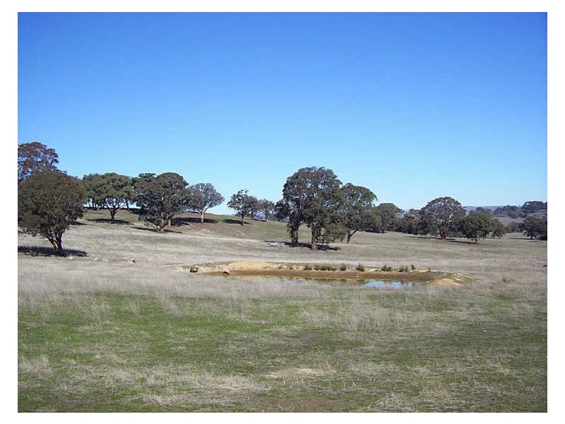 Hillview/ Laggan Road, Binda NSW 2583