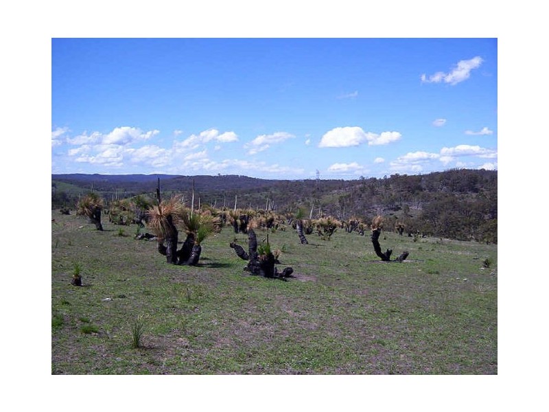 Ptn 148 Long Gully Road, Taralga NSW 2580