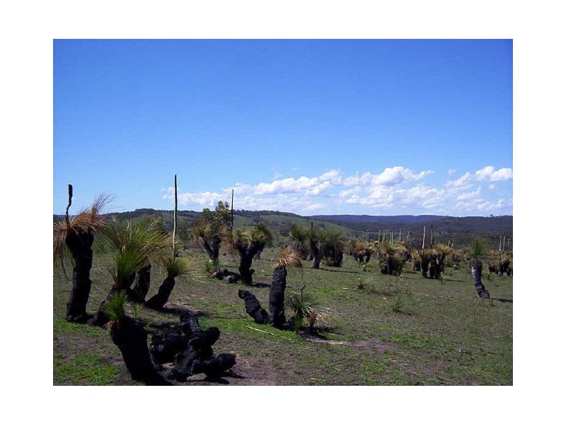 Ptn 148 Long Gully Road, Taralga NSW 2580