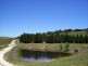 119 Taylors Creek Road, Tarago NSW 2580
