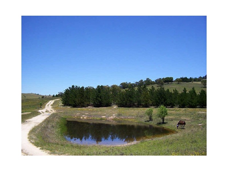 119 Taylors Creek Road, Tarago NSW 2580