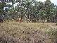 Lot 4 Crookwell Street, Bigga NSW 2583