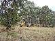 Lot 4 Crookwell Street, Bigga NSW 2583