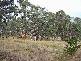 Lot 4 Crookwell Street, Bigga NSW 2583