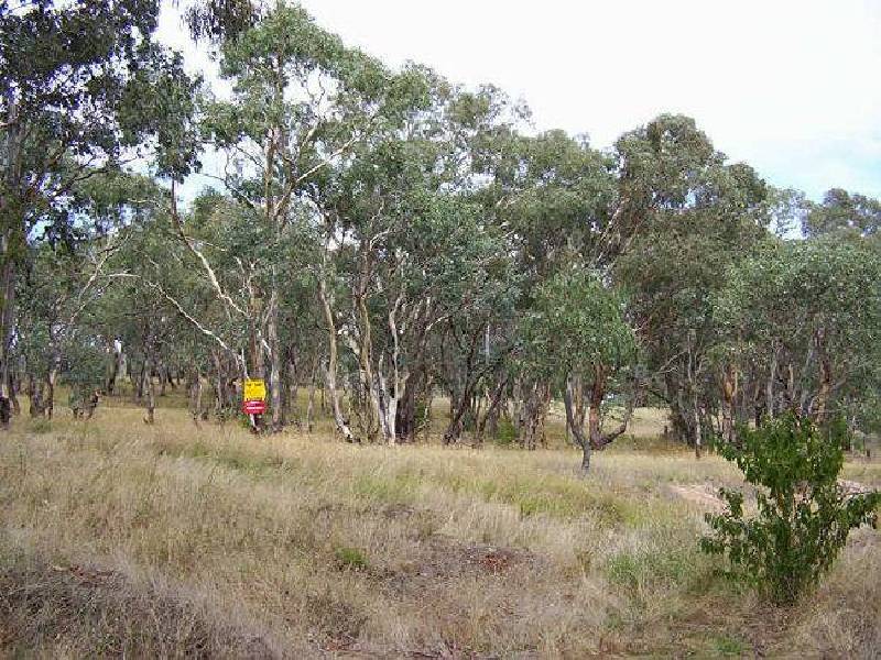 Lot 4 Crookwell Street, Bigga NSW 2583