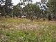 Lot 4 Crookwell Street, Bigga NSW 2583